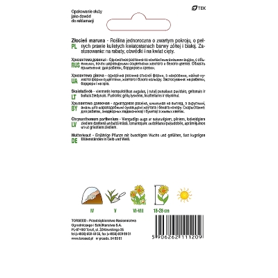 Złocień Wrotycz Maruna biały nasiona